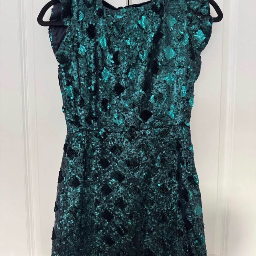Zara Sequined Dress